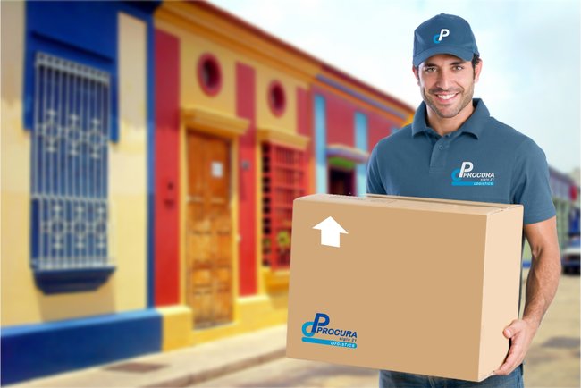 Servicio puerta a puerta